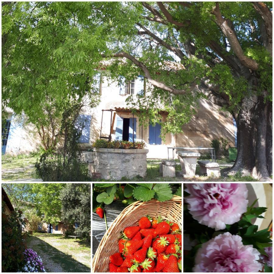Mas Saint-Joseph Bed & Breakfast Fontvieille Exterior foto
